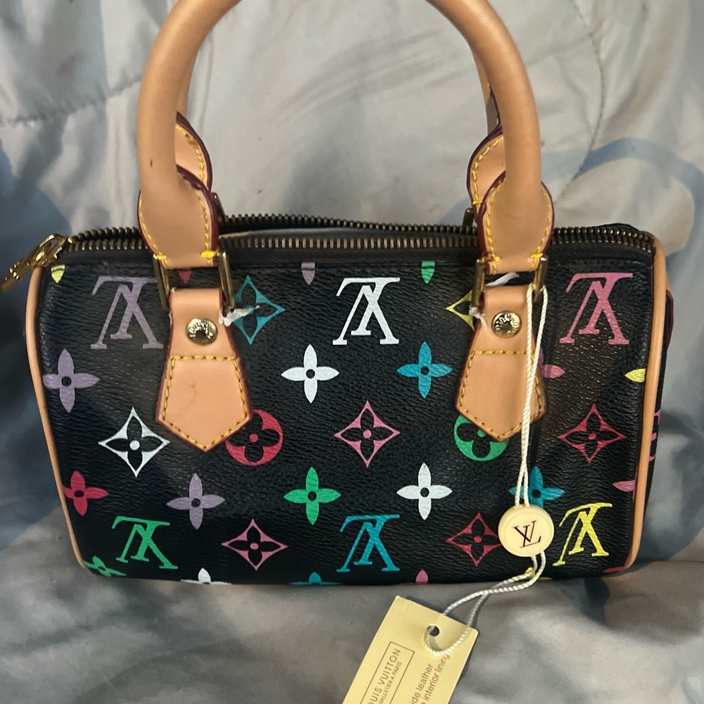 Louis Vuitton Multicolor Nano Speedy